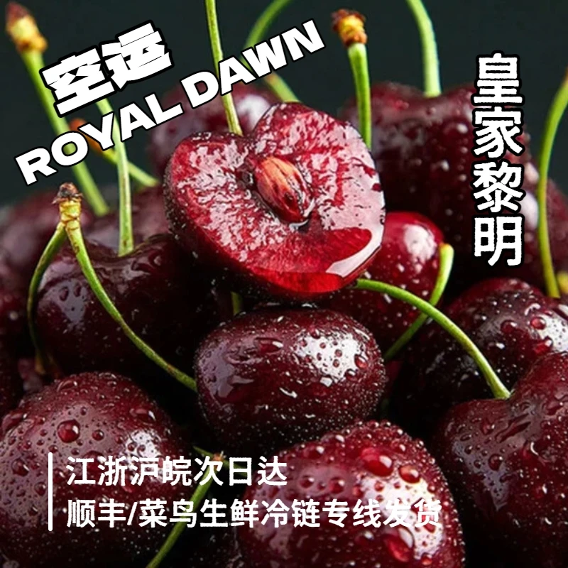【2J/3J高品质黑车次日达】皇家黎明5斤智利海运车厘子内附果径卡皇家黎明樱桃智利共和国