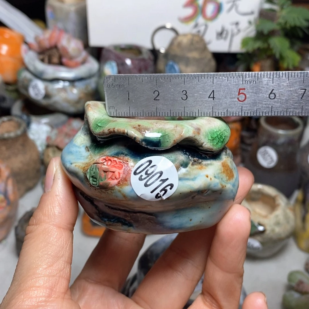 花盆拍3送一个小礼物