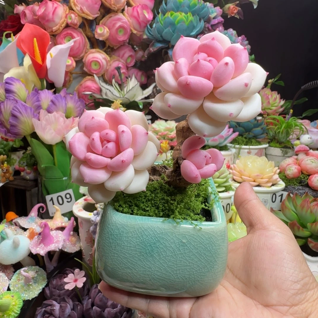 手工制作白茶带盆