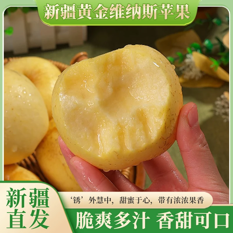 【京东】新疆黄金维纳斯苹果新鲜时令水果香甜多汁精选品质5斤起