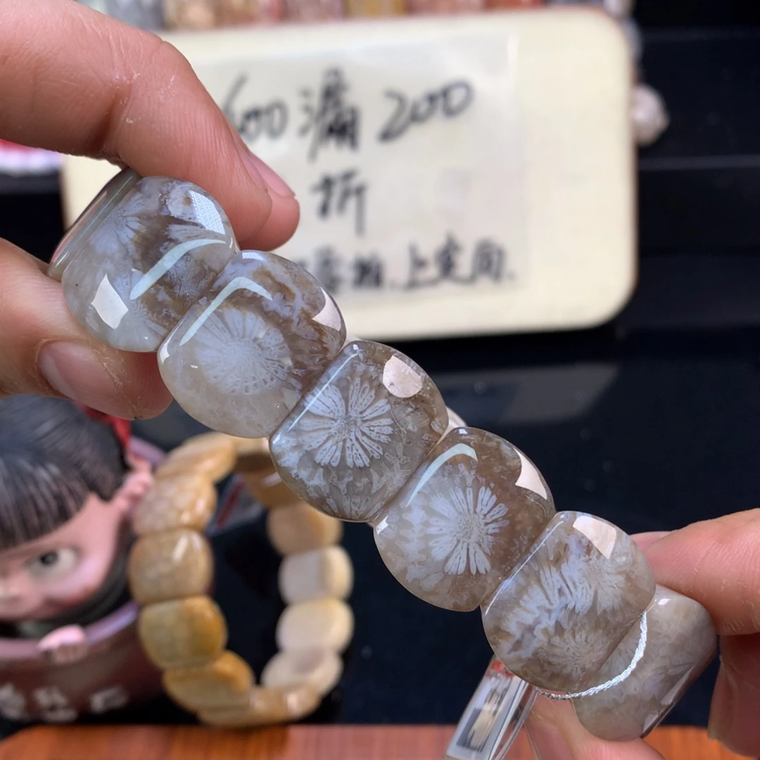 硅化珊瑚（珊瑚玉）未镶嵌颈饰52号咖冰皮大花