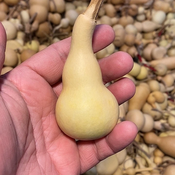 清*精品葫芦手把葫芦37