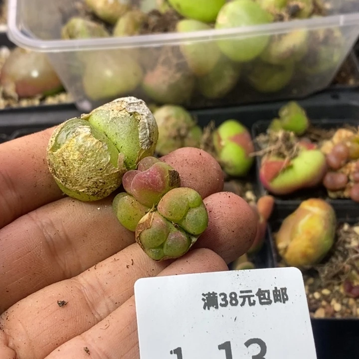 乐*2686869699998999990989