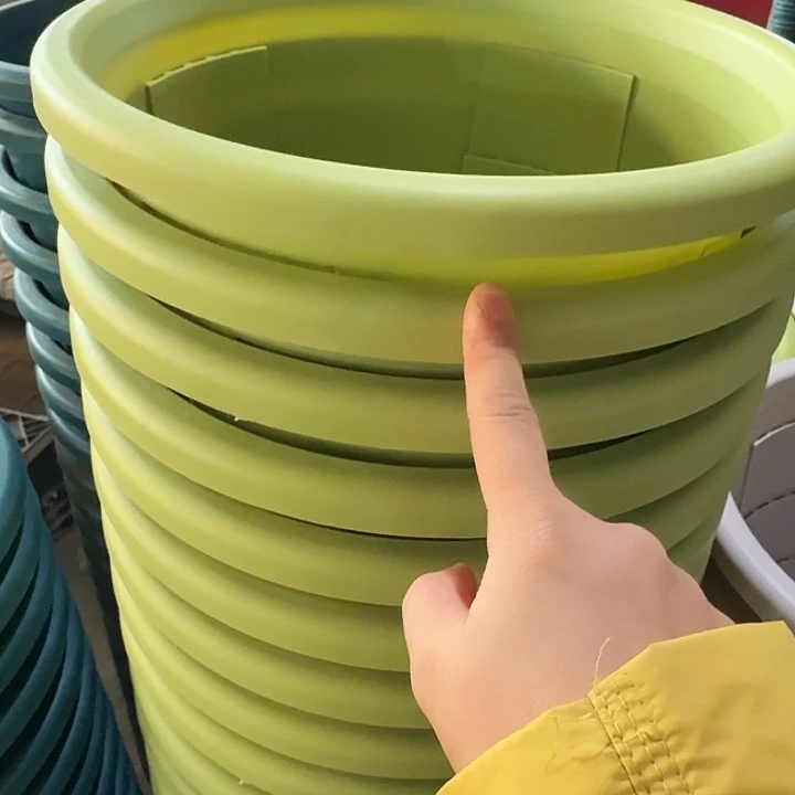 测5果绿无托5个特价