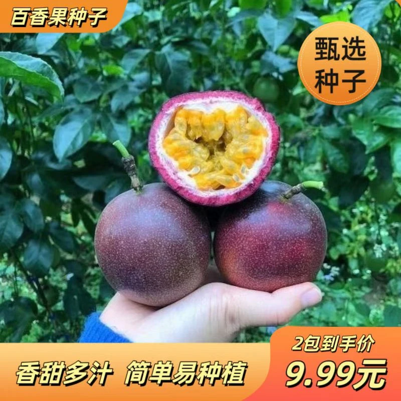 【春种】百香果种子多季水果蔬菜种子阳台盆栽菜种子黄金百香果种