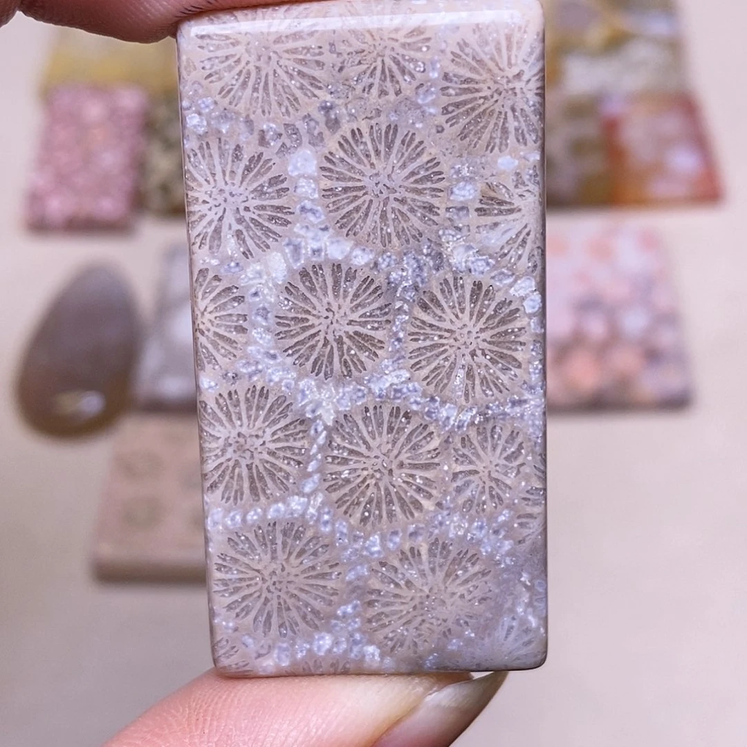 佳***佳硅化玉合金珊瑚玉