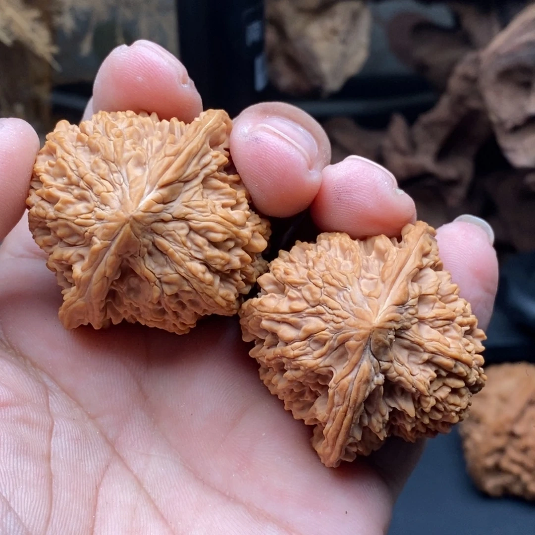 核桃42全品满天星