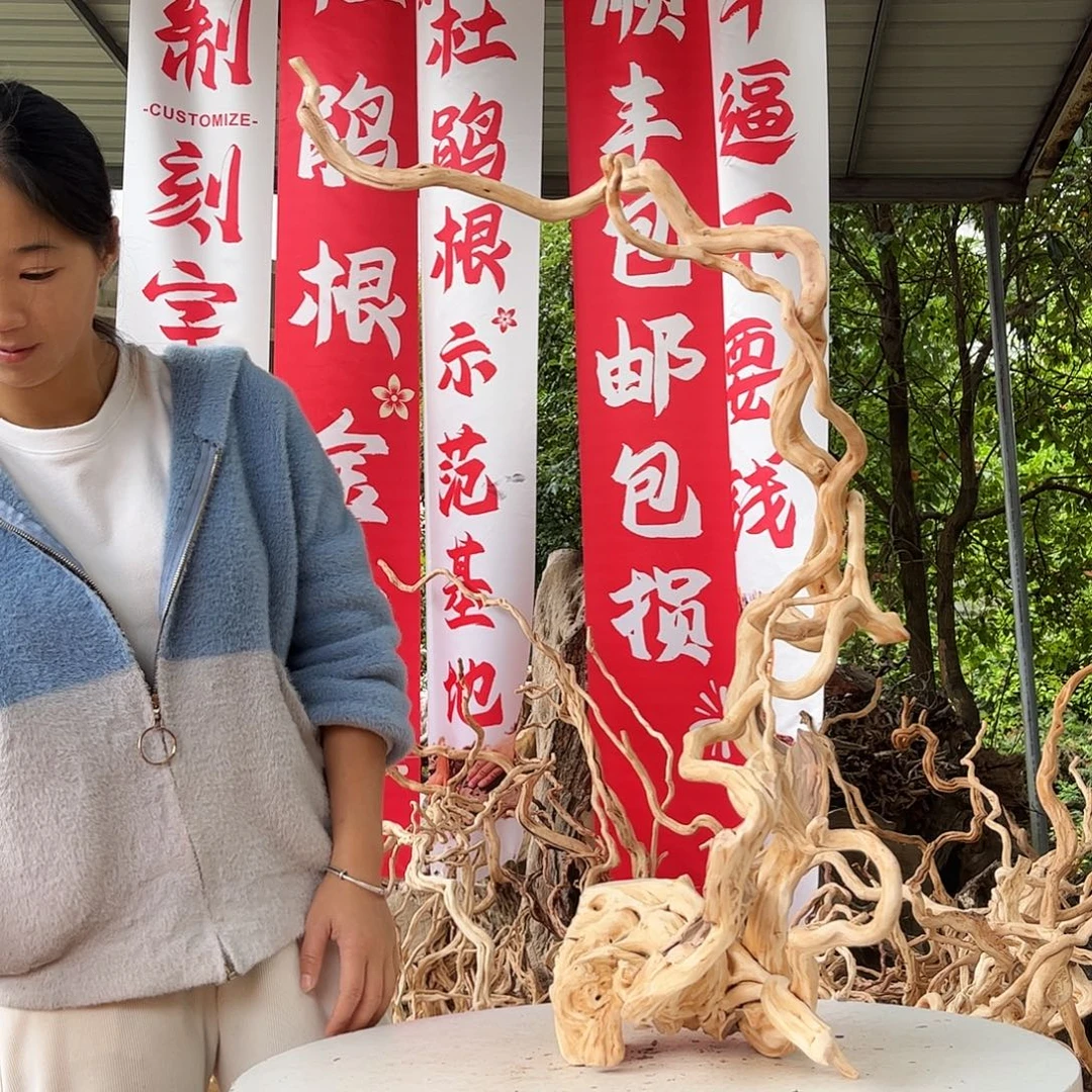 若***南木我们的生活方式是什么