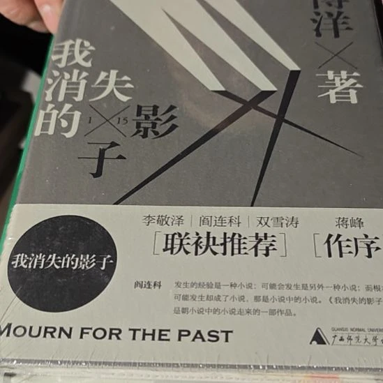 我消失的影子精装库存书