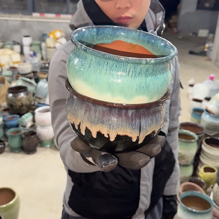 地下要普及啦啦啦呀花盆