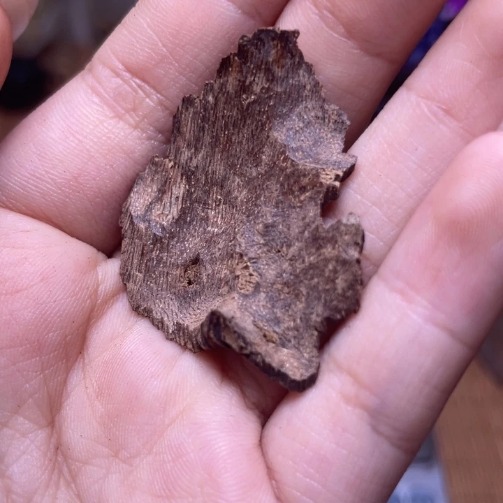 香榧木海南霸王岭淳化包头福利