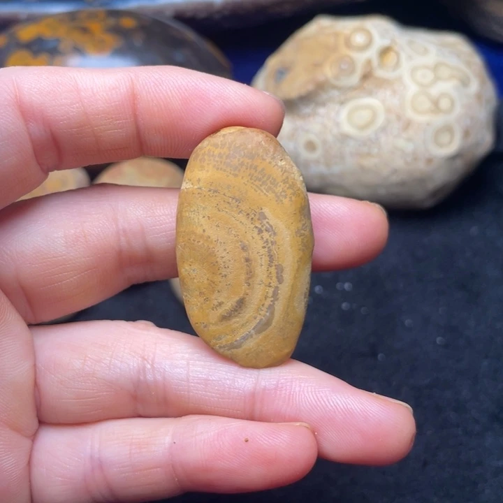 石材九眼页岩奇石34