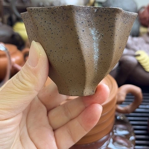 菠****茶壶紫砂宜兴紫砂666