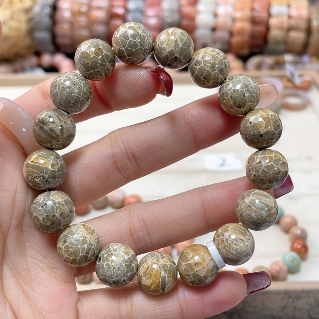 硅化珊瑚（珊瑚玉）手链未镶嵌ᓚ*ᗢ087