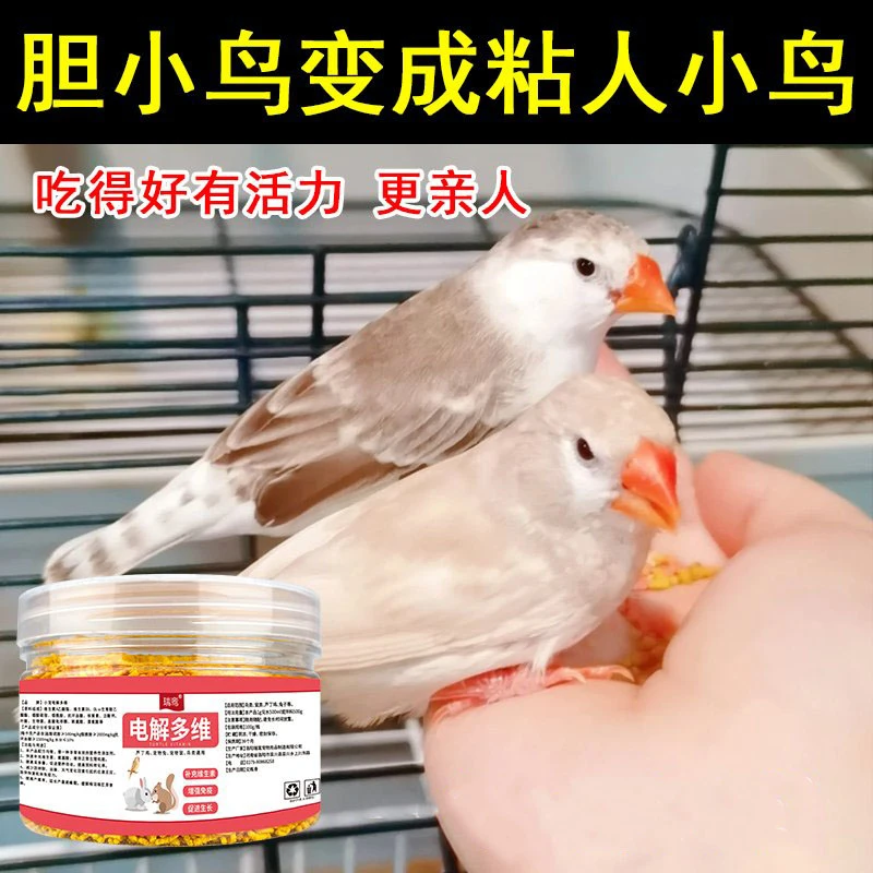 珍珠鸟胆小专用电解多维抗应激防炸笼稳定情绪增食欲促进亲人互动