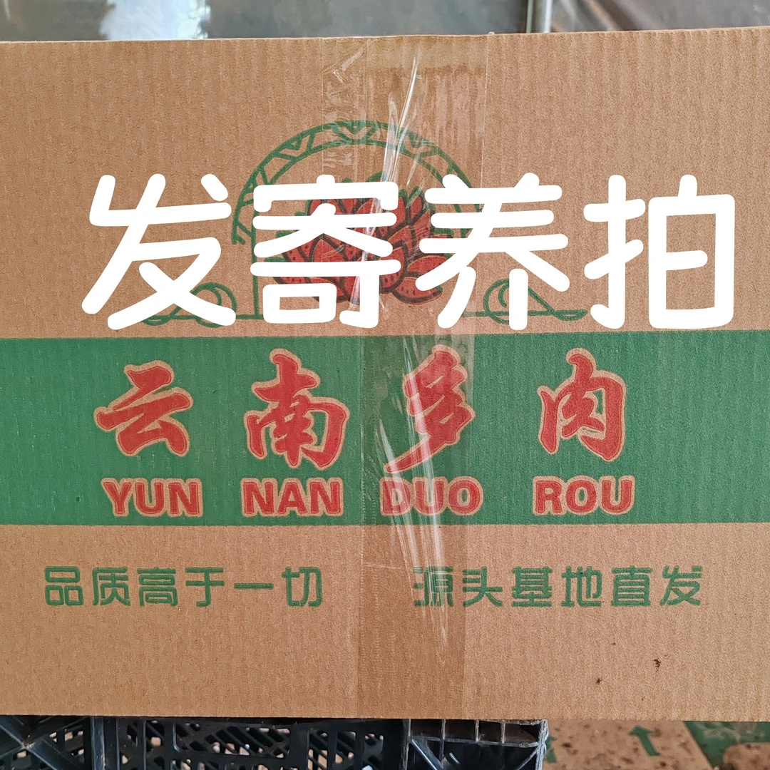 此链接寄养花花需要发货专拍
