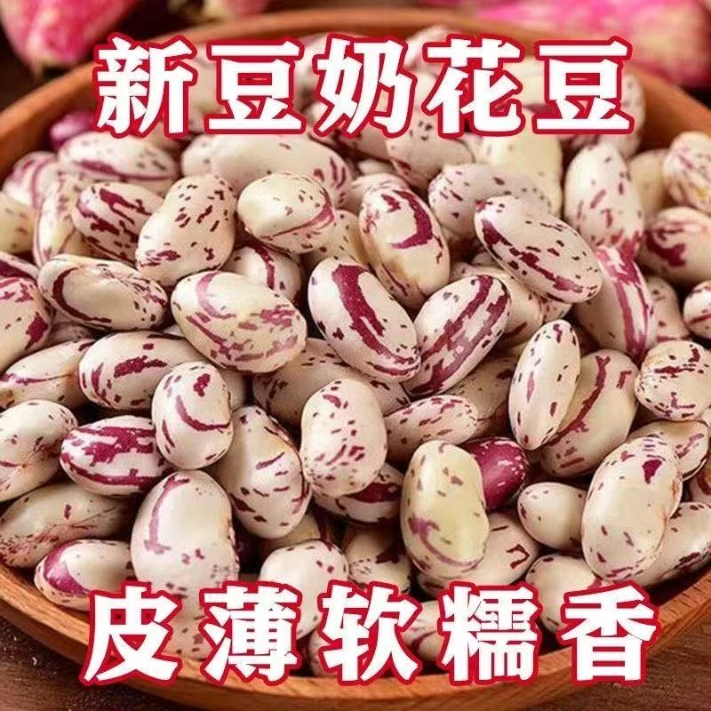 东北奶花芸豆大奶花芸豆新鲜奶白花大碴子熊猫豆猫眼豆煮粥煲汤