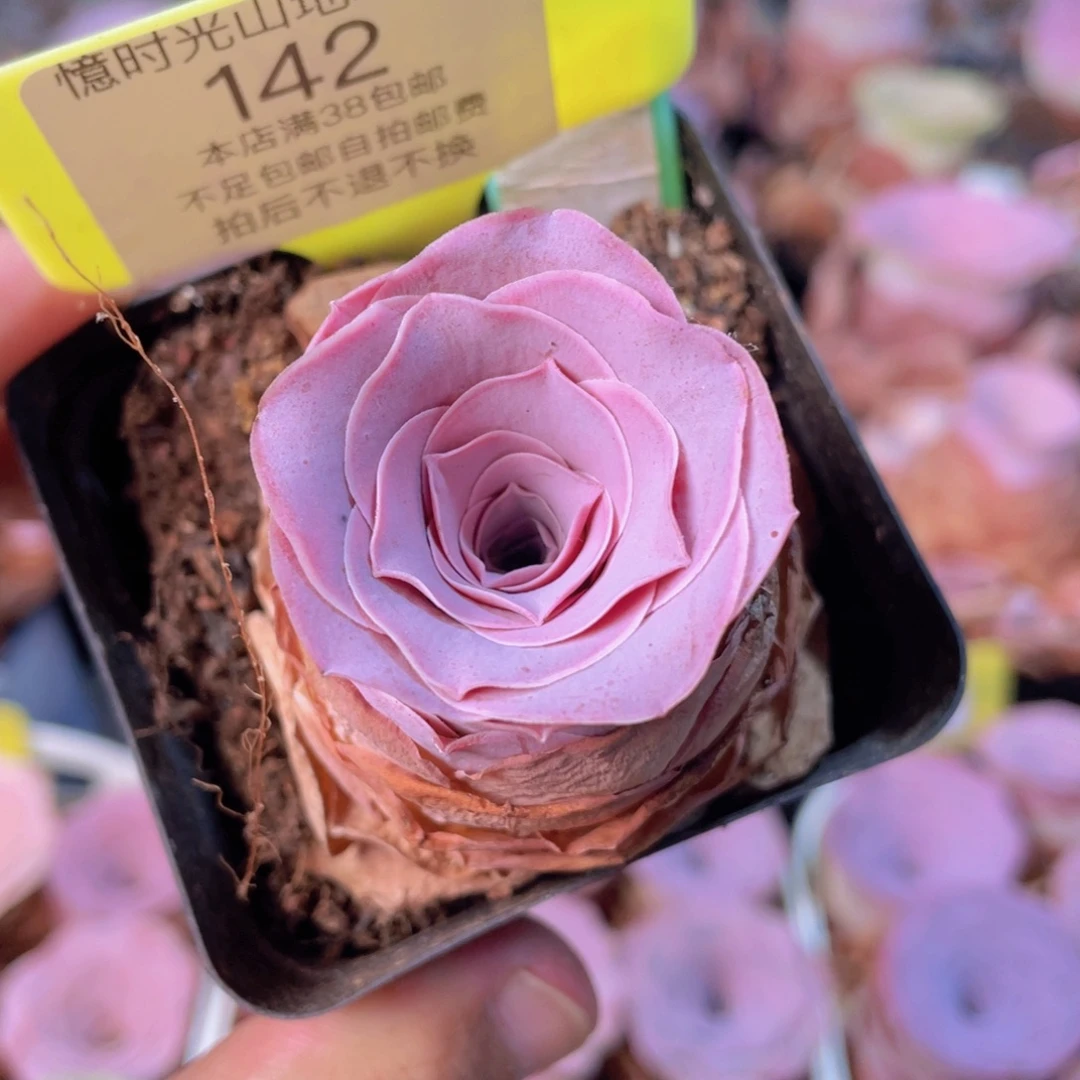 不知名福利142一物一拍满38包邮