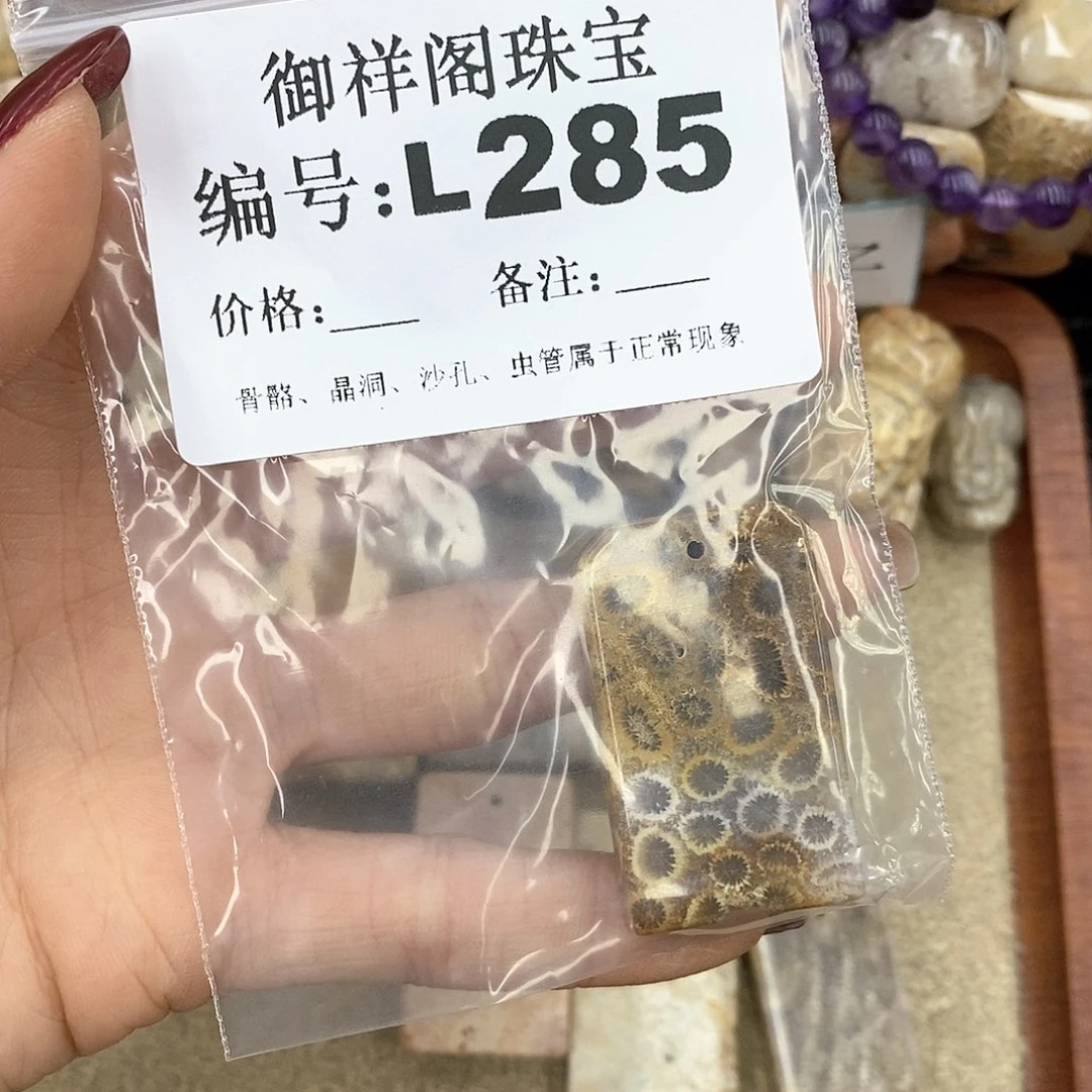 硅化珊瑚（珊瑚玉）n未镶嵌L***理