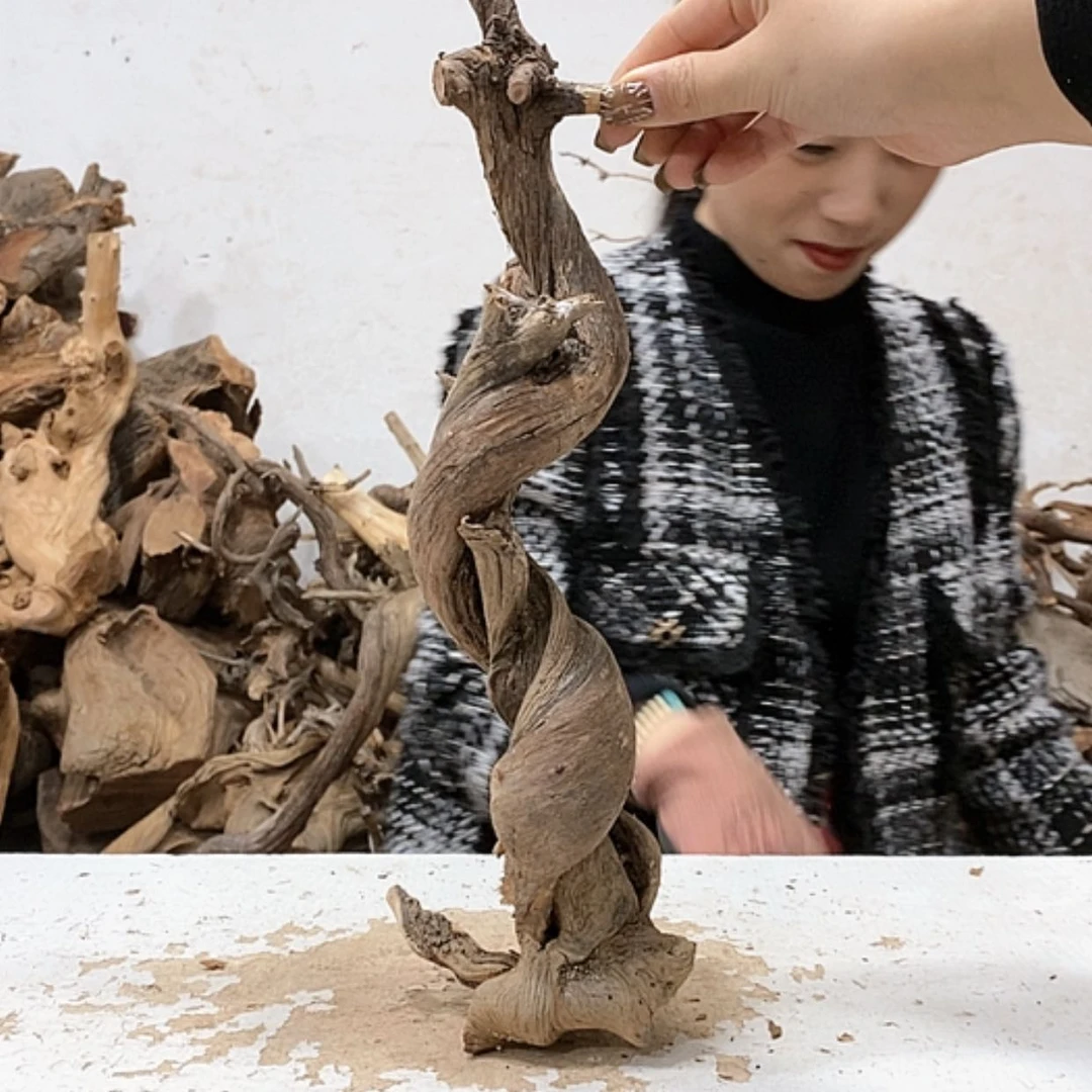 【闪购商品】柏木泰**下我们都是好孩子