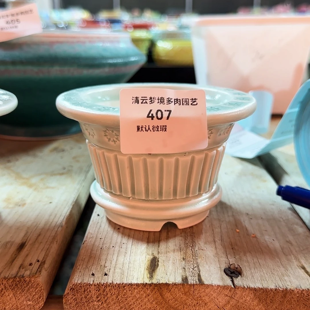 【闪购商品】红陶虎*&407