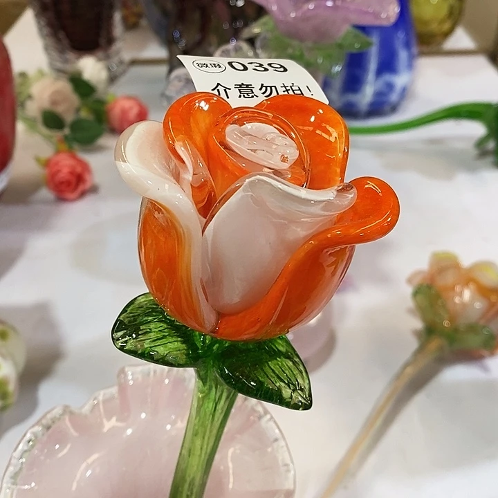 玫瑰花高30厘米左右