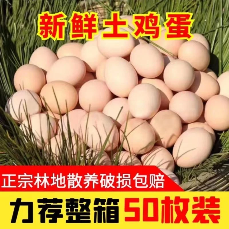 【新品50枚】z山林散养土鸡蛋新鲜鸡蛋营养健康每日甄选40-50克鲜蛋