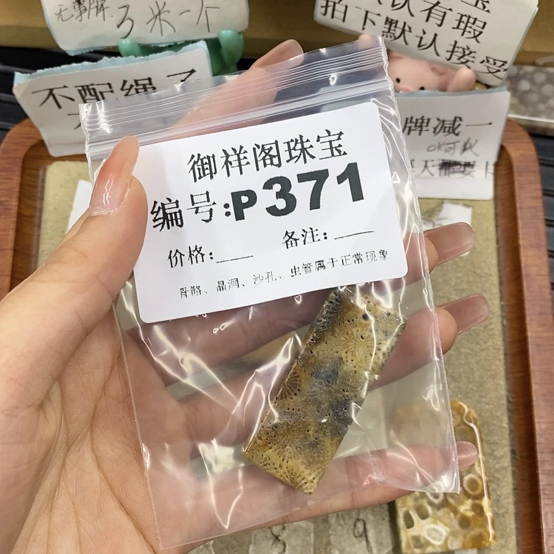 硅化珊瑚（珊瑚玉）未镶嵌颈饰枳*、