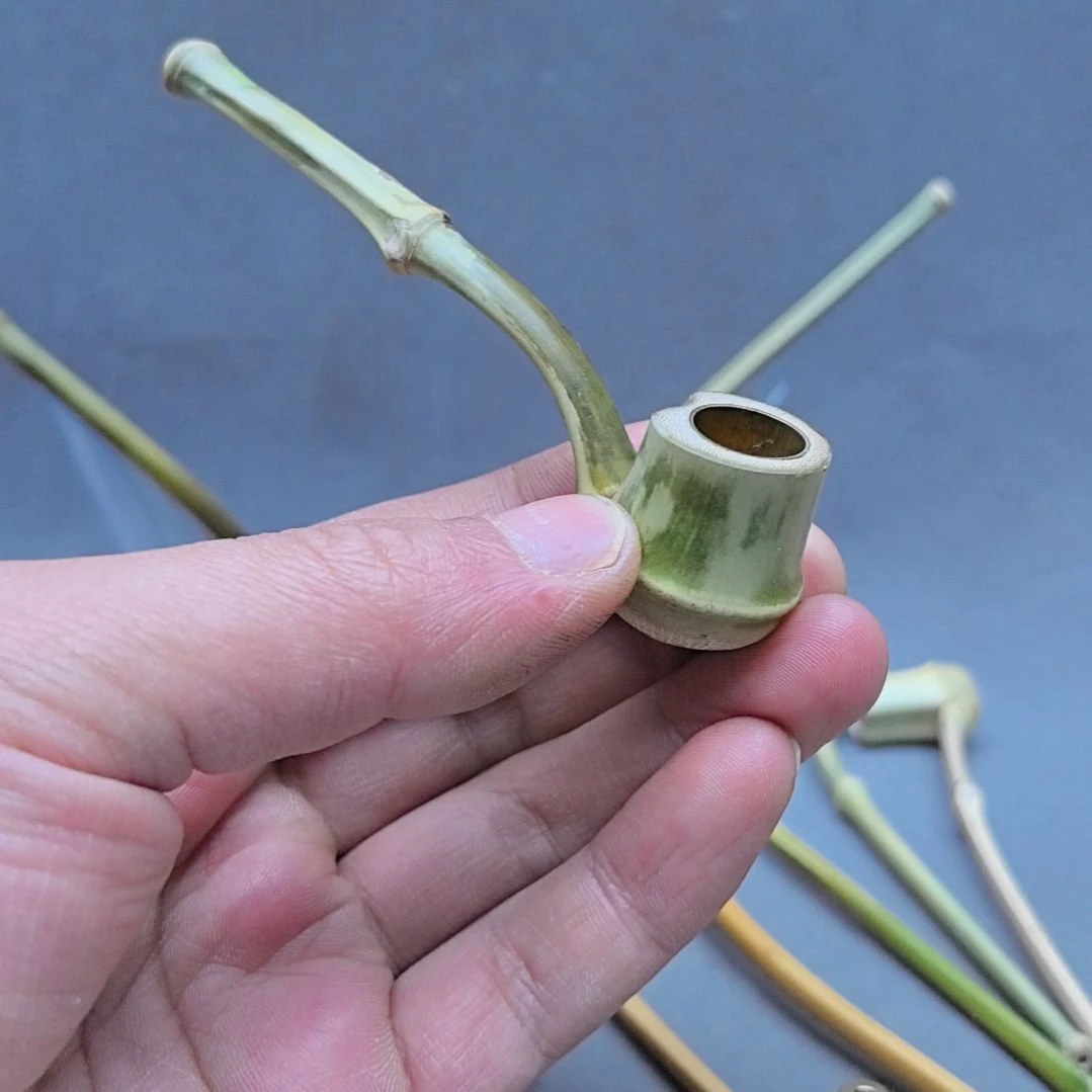 身***成小竹子烟斗，叶子烟专用