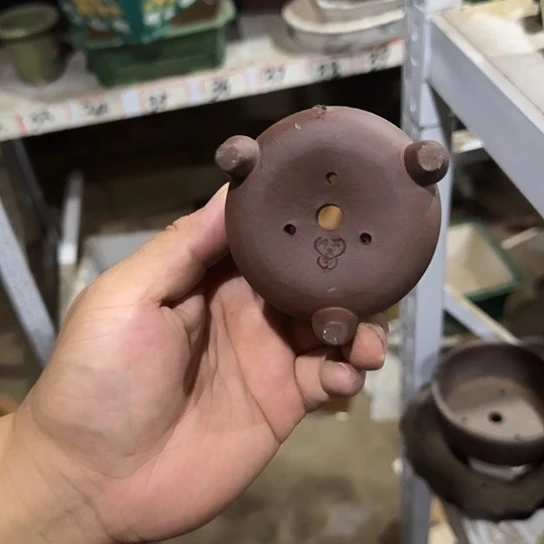是一个不知名作家与著名导演