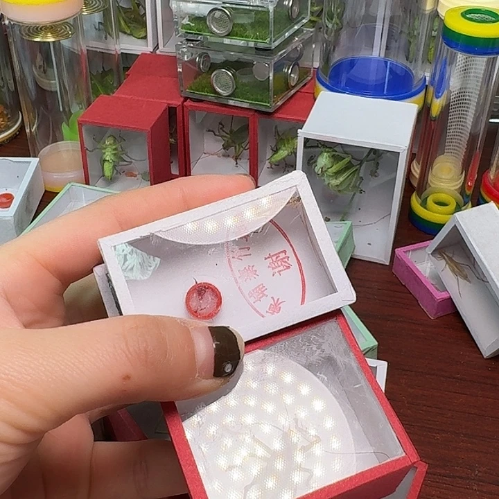 城***顺蟋蟀3竹一扎。