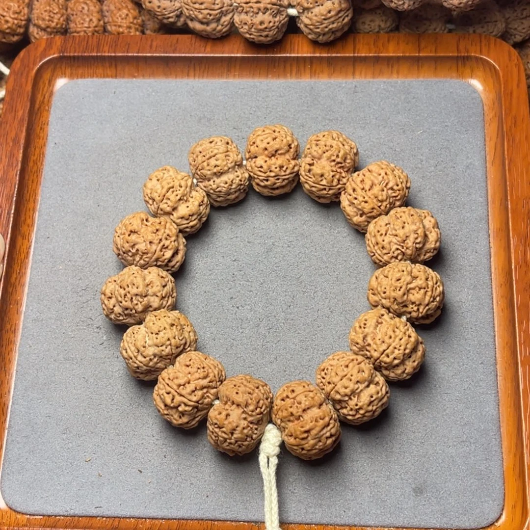 菩提籽类20号金刚菩提满肉梅花24