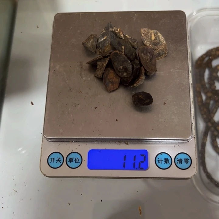 沉香沉香碎屑沉水树丁香脉11克