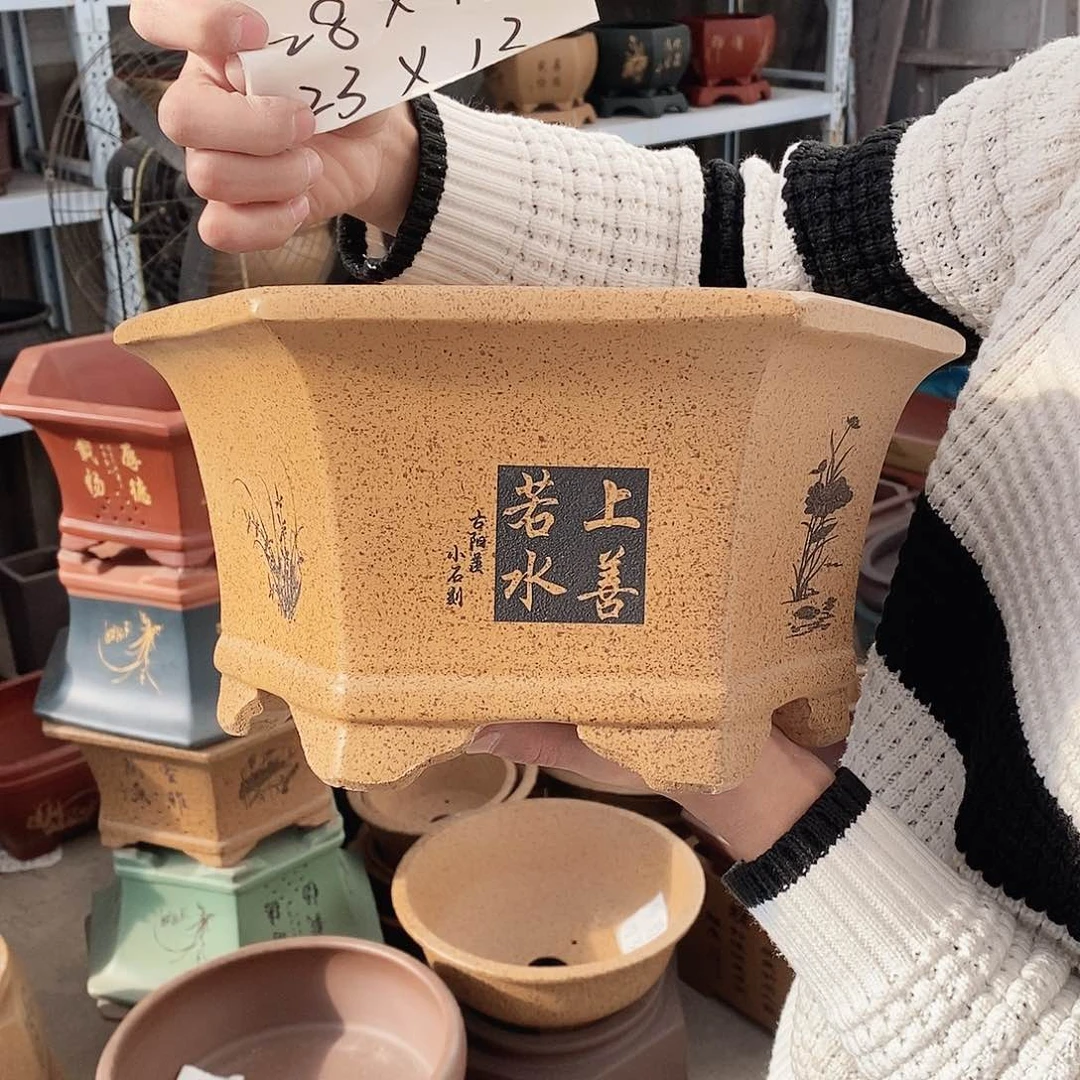 紫砂花盆紫砂花盆