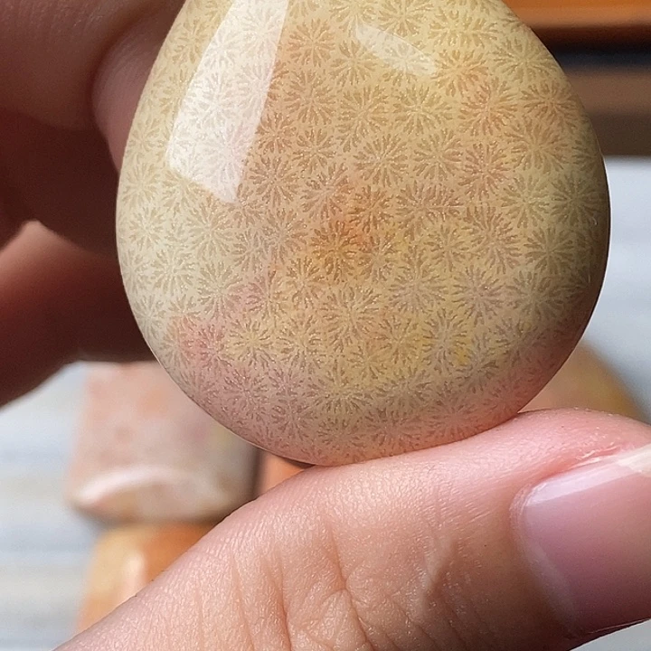 S***硅化玉未镶嵌颈饰