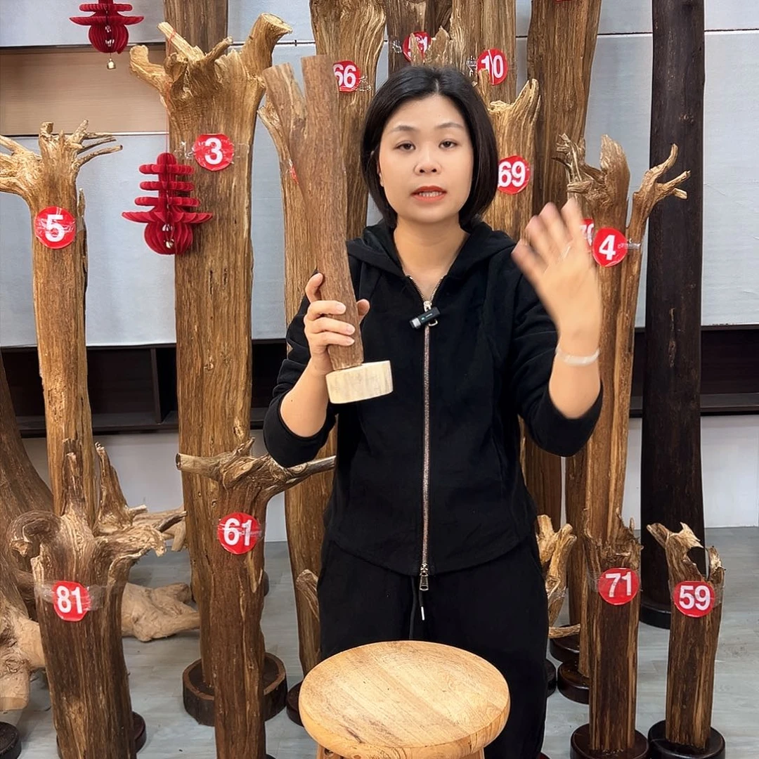 沉香摆件海南沉香摆件