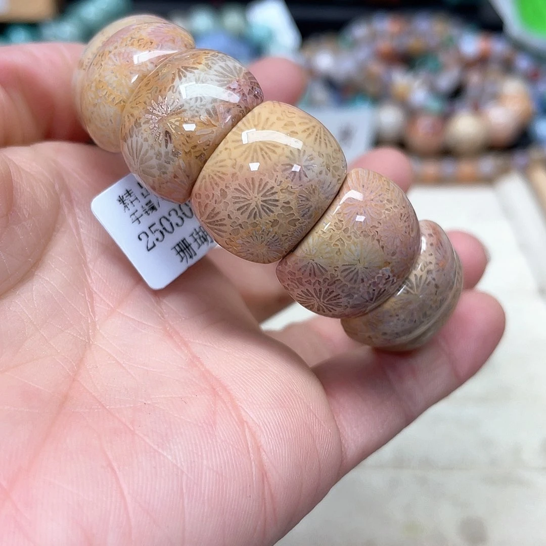 硅化珊瑚（珊瑚玉）手链未镶嵌小*硕603