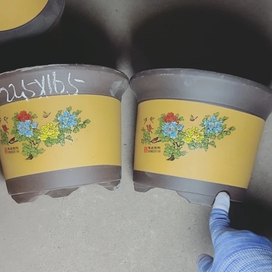 红陶紫砂紫砂这种