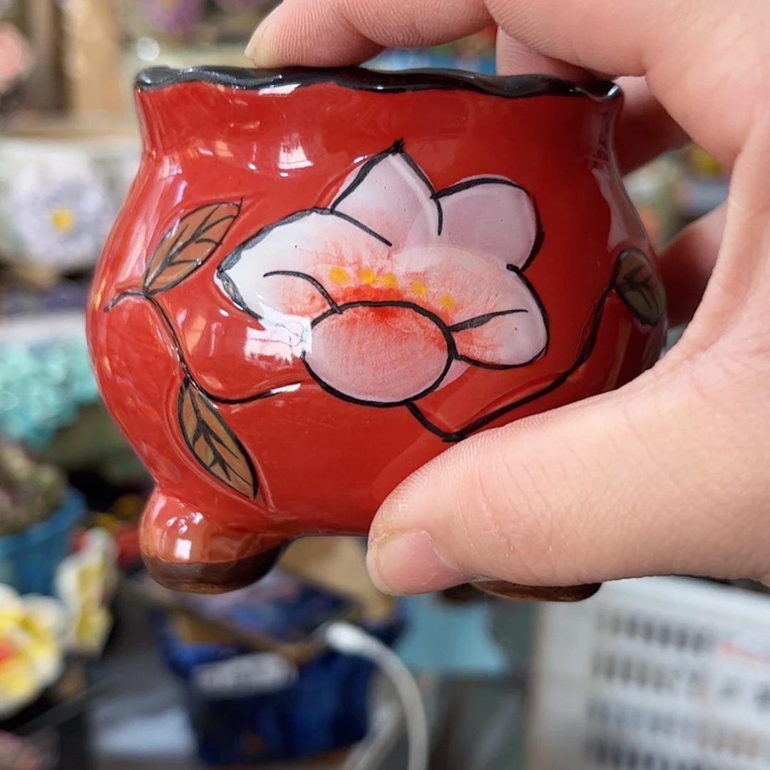 【闪购商品】红陶福利