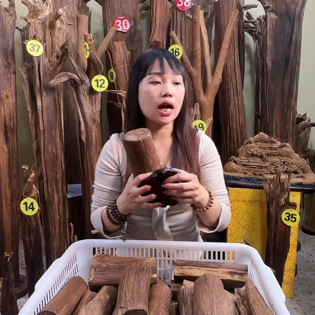 沉香沉香碎屑天然沉香原材料香料熏料