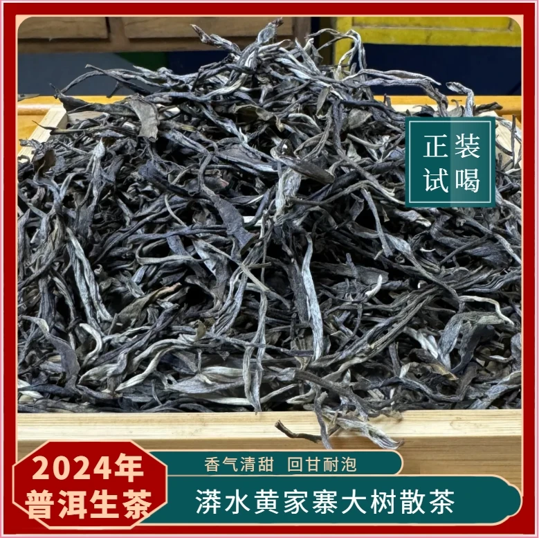 【漭水黄家寨】云南普洱生茶 散茶24年春茶 混采中小叶种