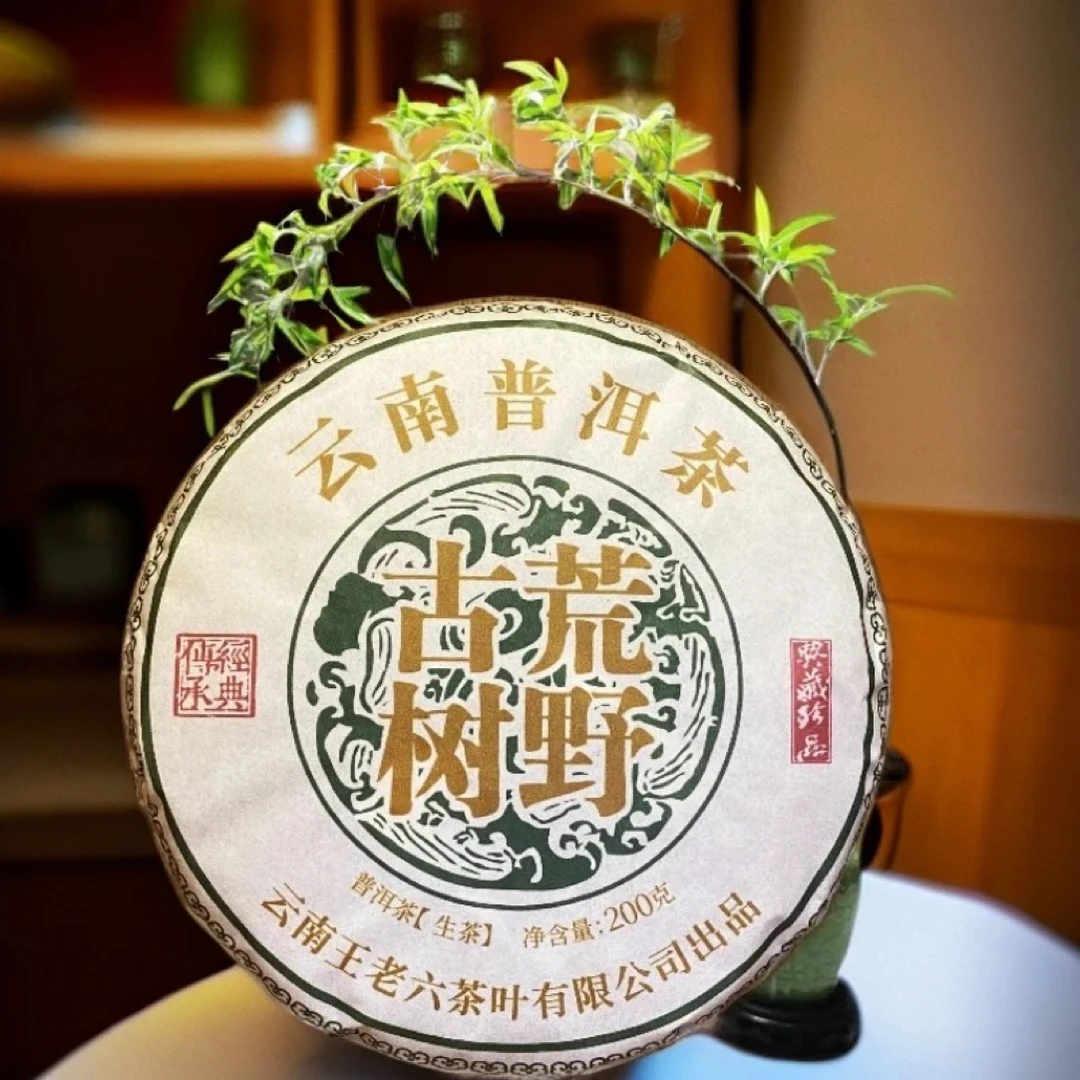 2025年 临沧自家 荒野古树高货 生茶