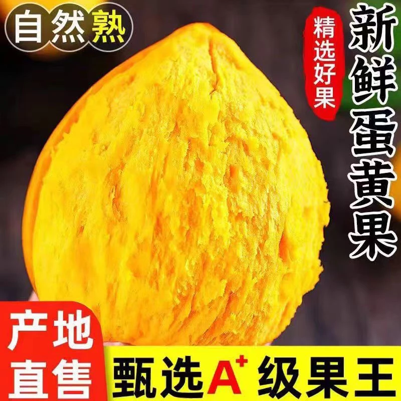 现摘新鲜鸡蛋果蛋黄果包邮新鲜水果鸡蛋果