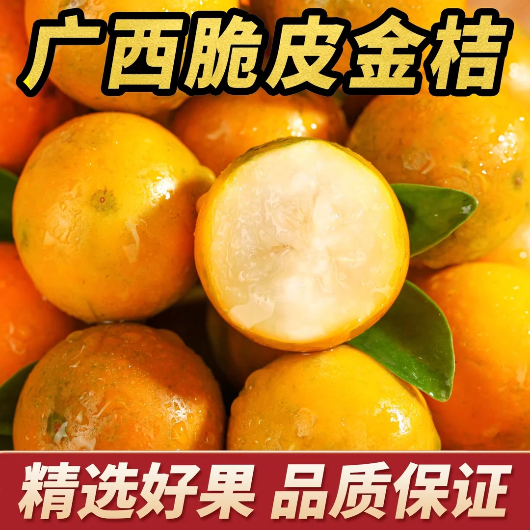 广西脆皮金桔新鲜水果桔子当季甜蜜小金柑桔金橘融安特产独立包装