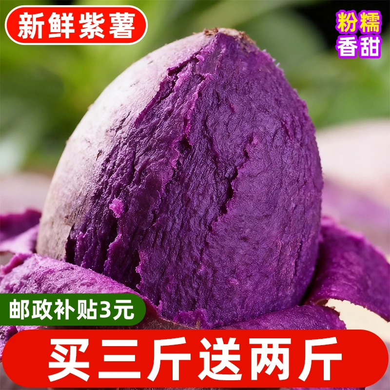 【川邮严选】紫薯新鲜采摘沙地紫薯红薯番薯地瓜香甜软糯农家自种