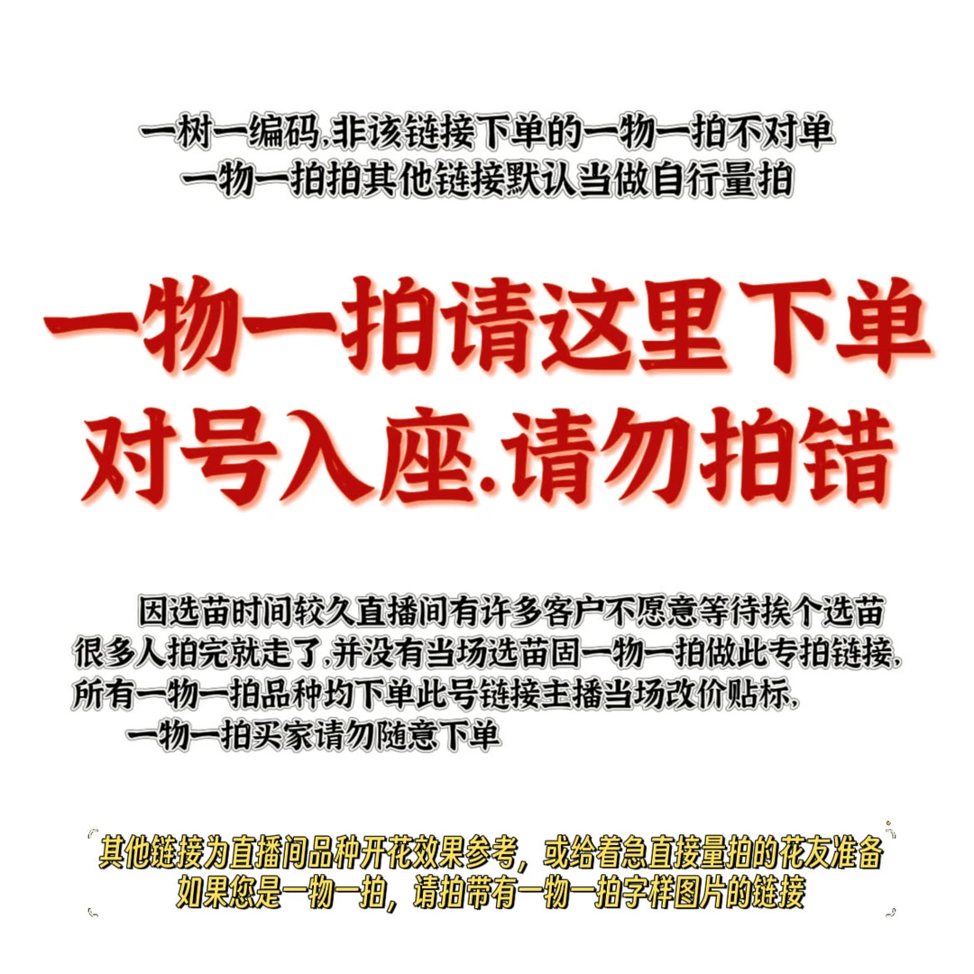 四季桂一物一拍专用链接