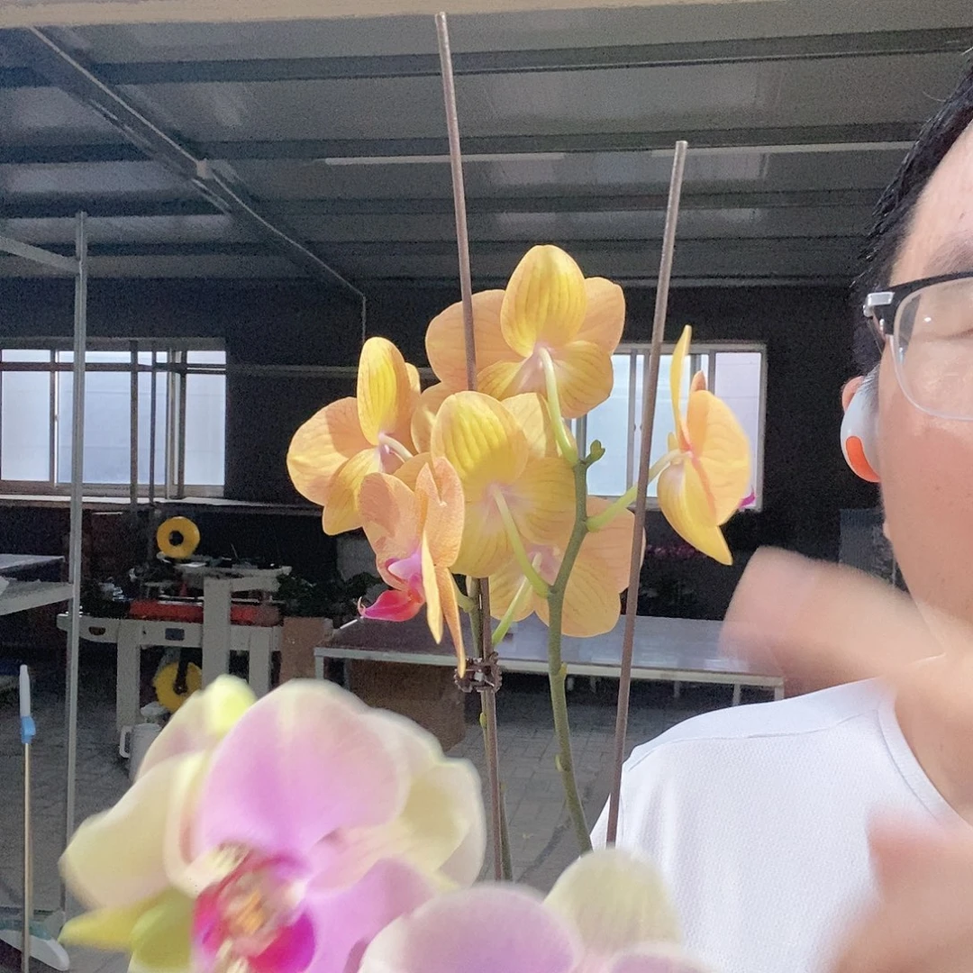 完全开放013圣马力诺➕蒙娜丽莎