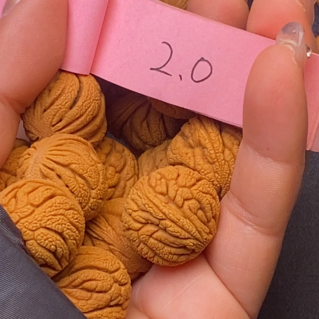 秦岭龙纹桃核13颗