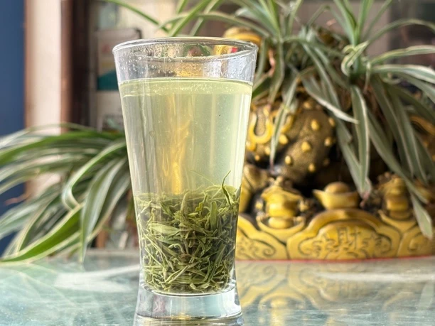 高山雨前绿茶浓香型栗香口粮茶