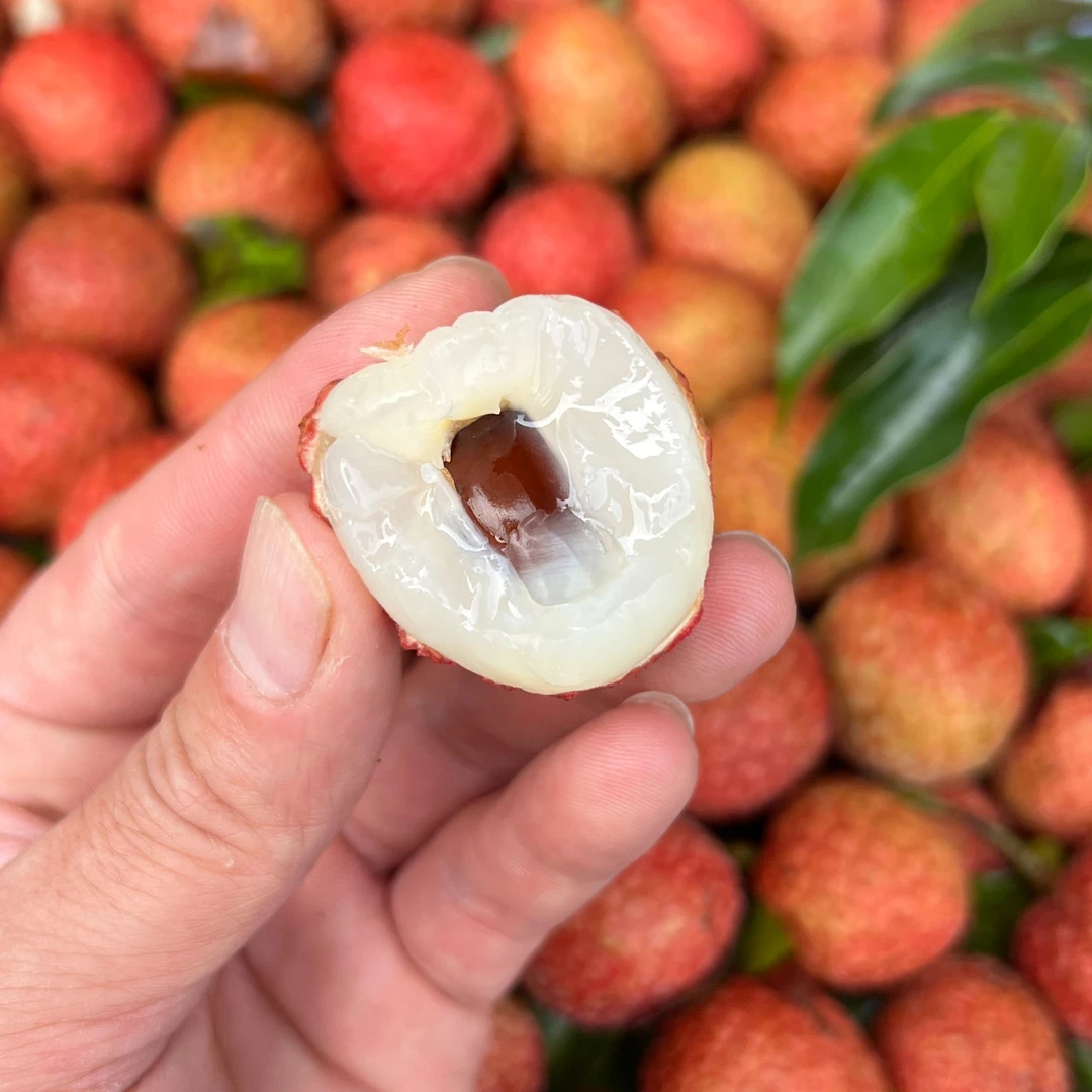 海南白糖罂荔枝新鲜水果新果香甜饱满只发川渝